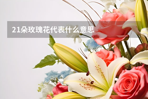 21朵玫瑰花代表什么意思