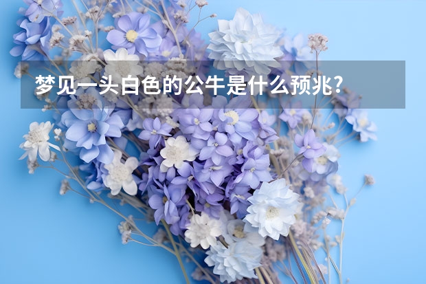 梦见一头白色的公牛是什么预兆?