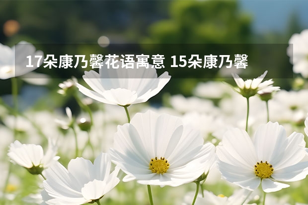 17朵康乃馨花语寓意 15朵康乃馨花语是什么