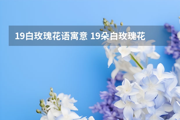 19白玫瑰花语寓意 19朵白玫瑰花语是什么