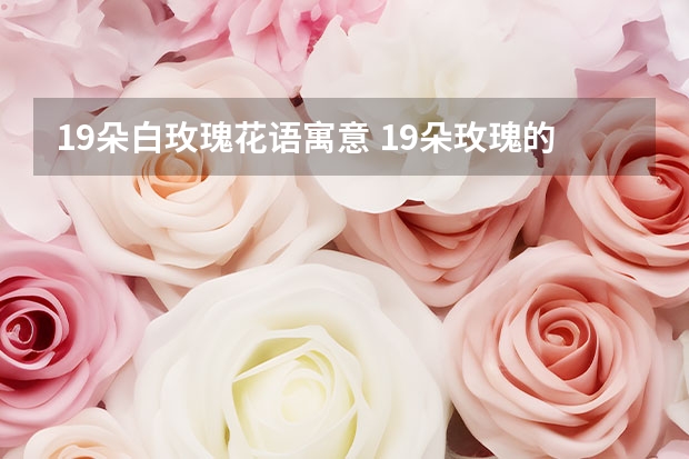 19朵白玫瑰花语寓意 19朵玫瑰的寓意是什么（浅谈十九朵玫瑰花语）