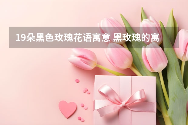 19朵黑色玫瑰花语寓意 黑玫瑰的寓意是什么？