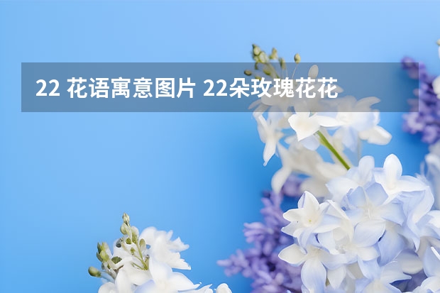 22 花语寓意图片 22朵玫瑰花花语是什么