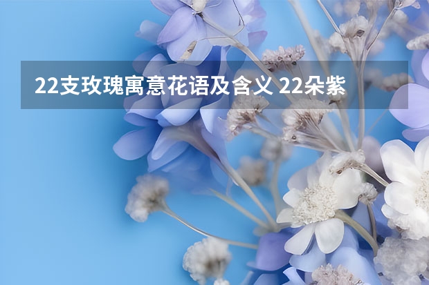 22支玫瑰寓意花语及含义 22朵紫玫瑰代表什么