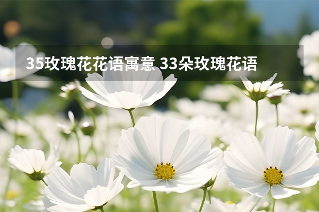 35玫瑰花花语寓意 33朵玫瑰花语及其含义解析