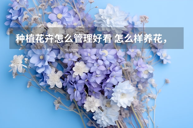 种植花卉怎么管理好看 怎么样养花，庭院养花小窍门