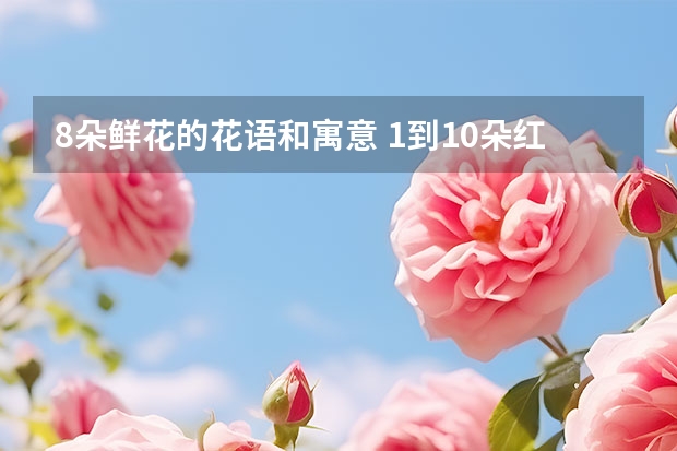 8朵鲜花的花语和寓意 1到10朵红玫瑰花分别代表什么意思？